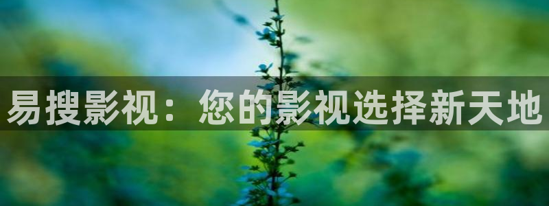98影院在线观看免费播放电视剧大全日：易搜影视：您的影视选择新天地