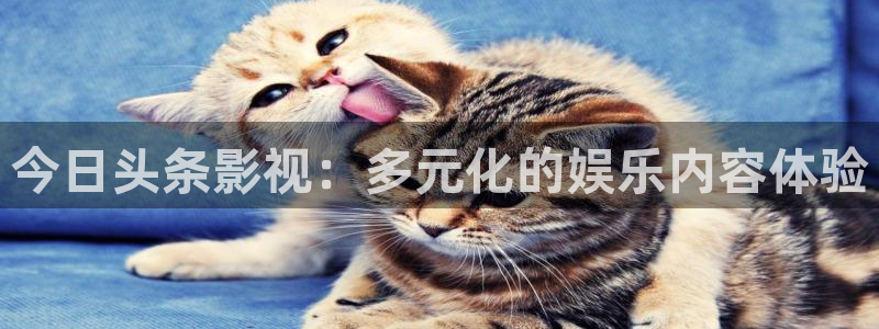 98影院在线观看免费播放电视剧大全：今日头条影视：多元化的娱乐内容体验