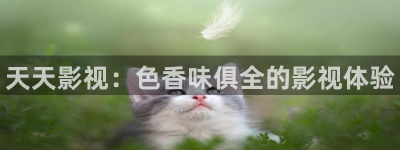 98在线电影：天天影视：色香味俱全的影视体验
