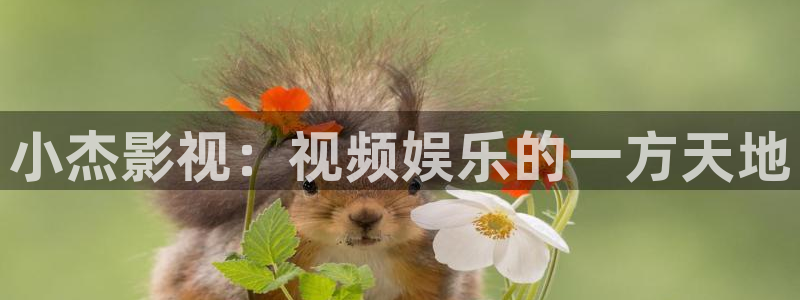 请回答1988在线观看免费观看西瓜：小杰影视：视频娱乐的一方天地