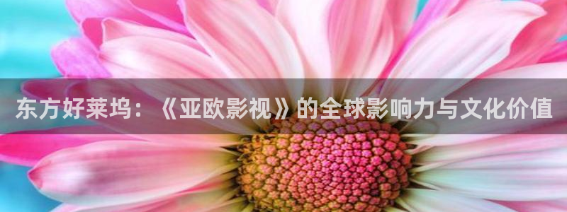 舍方知1988年完整版在线观看：东方好莱坞：《亚欧影视》的全球影响力与文化价值