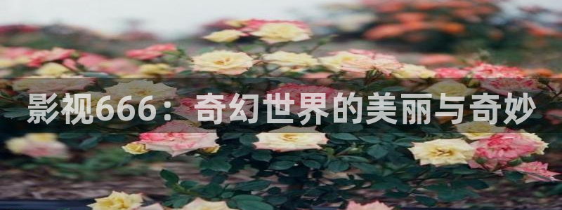 98k影院电视剧：影视666：奇幻世界的美丽与奇妙