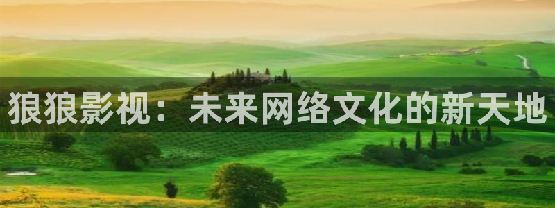 98k影院免费观看：狼狼影视：未来网络文化的新天地